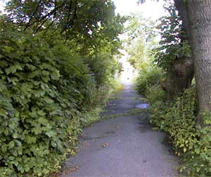 Du føler at du er langt fra storbyen Oslo i Lensmann Hiorths allé 21